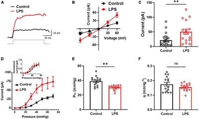 Inflammation condition sensitizes Piezo1 mechanosensitive channel in mouse cerebellum astrocyte
